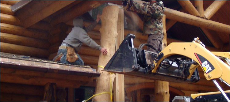 Log Home Log Replacement  Shelby County, Ohio